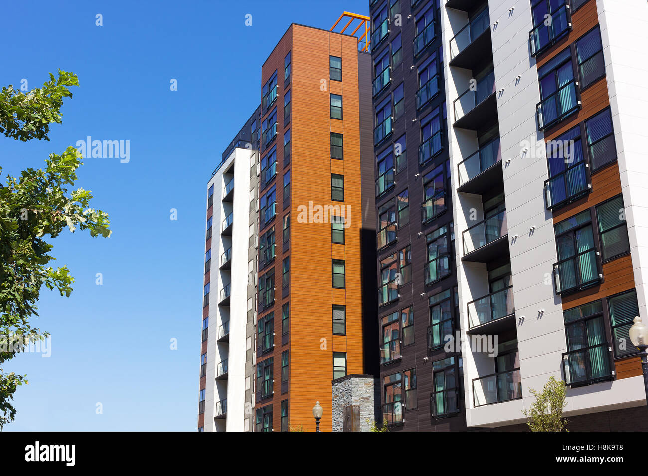 Grün in der Stadt Leben. Moderne Wohnungen in Washington DC, USA. Stockfoto