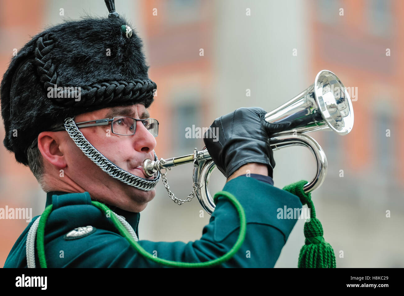 Belfast, Northern Ireland. 13. November 2016. Gedenkgottesdienst am Ehrenmal der Belfast City Hall. Bildnachweis: Stephen Barnes/Alamy Live-Nachrichten Stockfoto