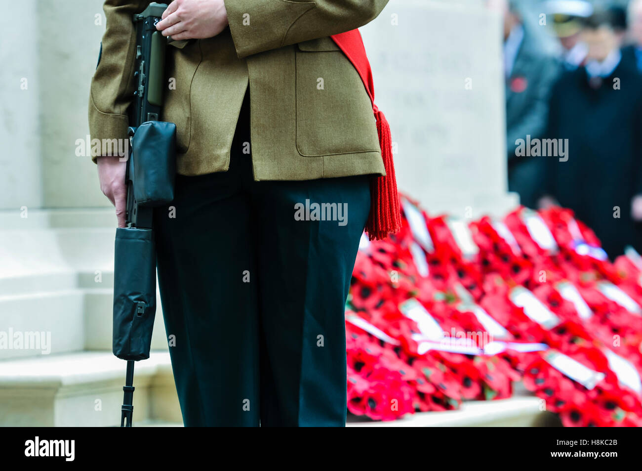 Belfast, Northern Ireland. 13. November 2016. Gedenkgottesdienst am Ehrenmal der Belfast City Hall. Bildnachweis: Stephen Barnes/Alamy Live-Nachrichten Stockfoto