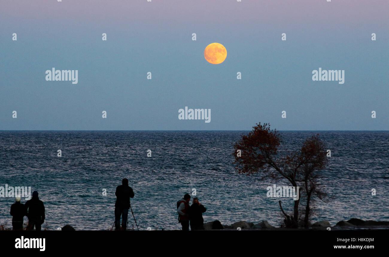 Lake Ontario, Toronto, Kanada. 13. November 2016. Menschen Sie beobachten Supermoon am Strand des Lake Ontario in Toronto, Kanada am 13. November 2016 steigen. Es wird gesagt, der größte Mond in 68 Jahren Credit werden: CharlineXia/Alamy Live News Stockfoto