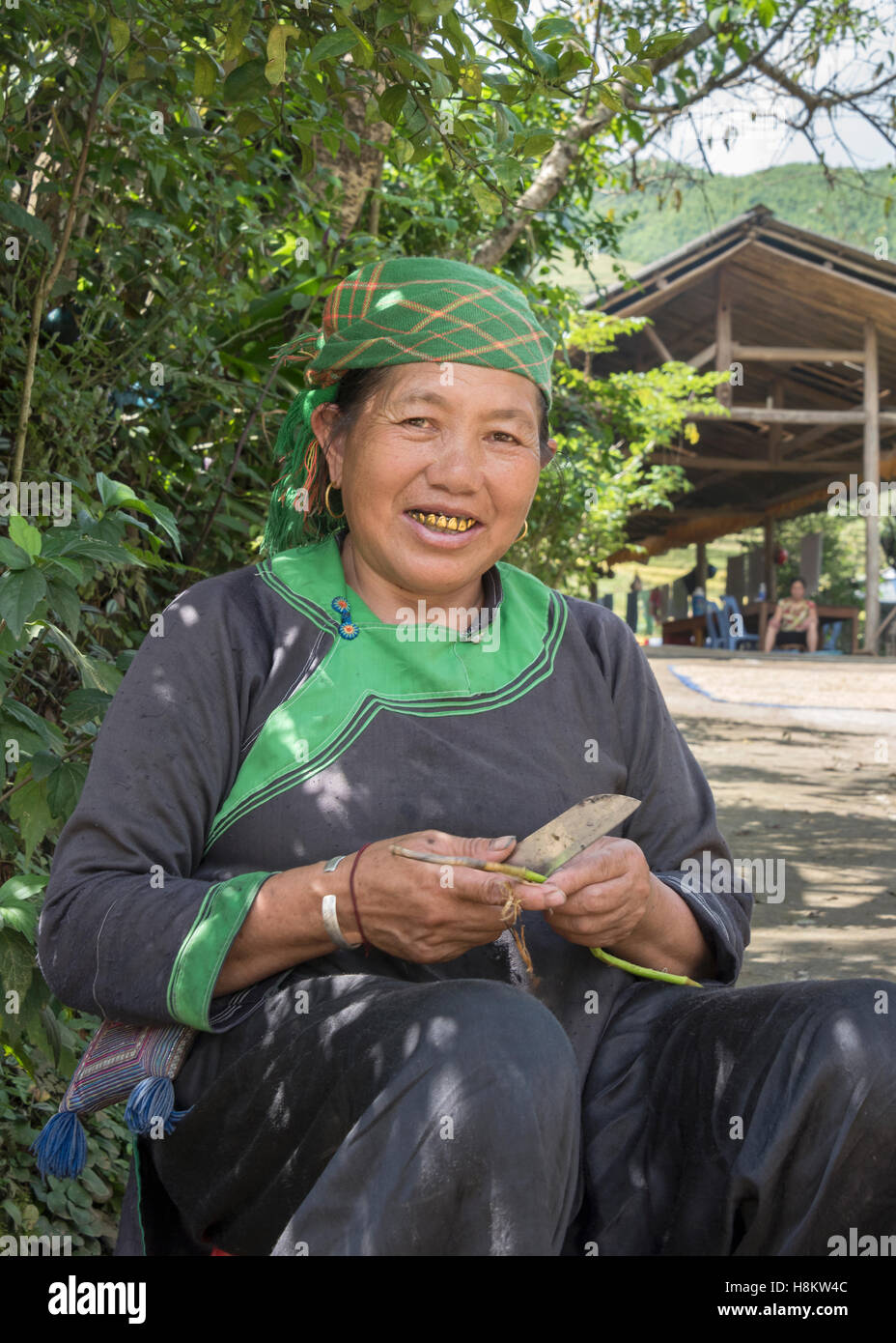Frau mit den Goldzähnen Grillz, Ta Van Tal, Sa Pa, Nord-Vietnam Stockfoto