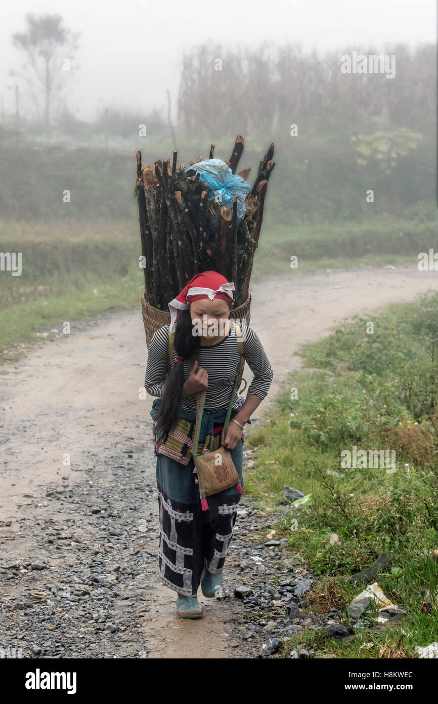 Frau mit schweren Last des Holzes in den Nebel, Sa Pa, Nord-Vietnam Stockfoto