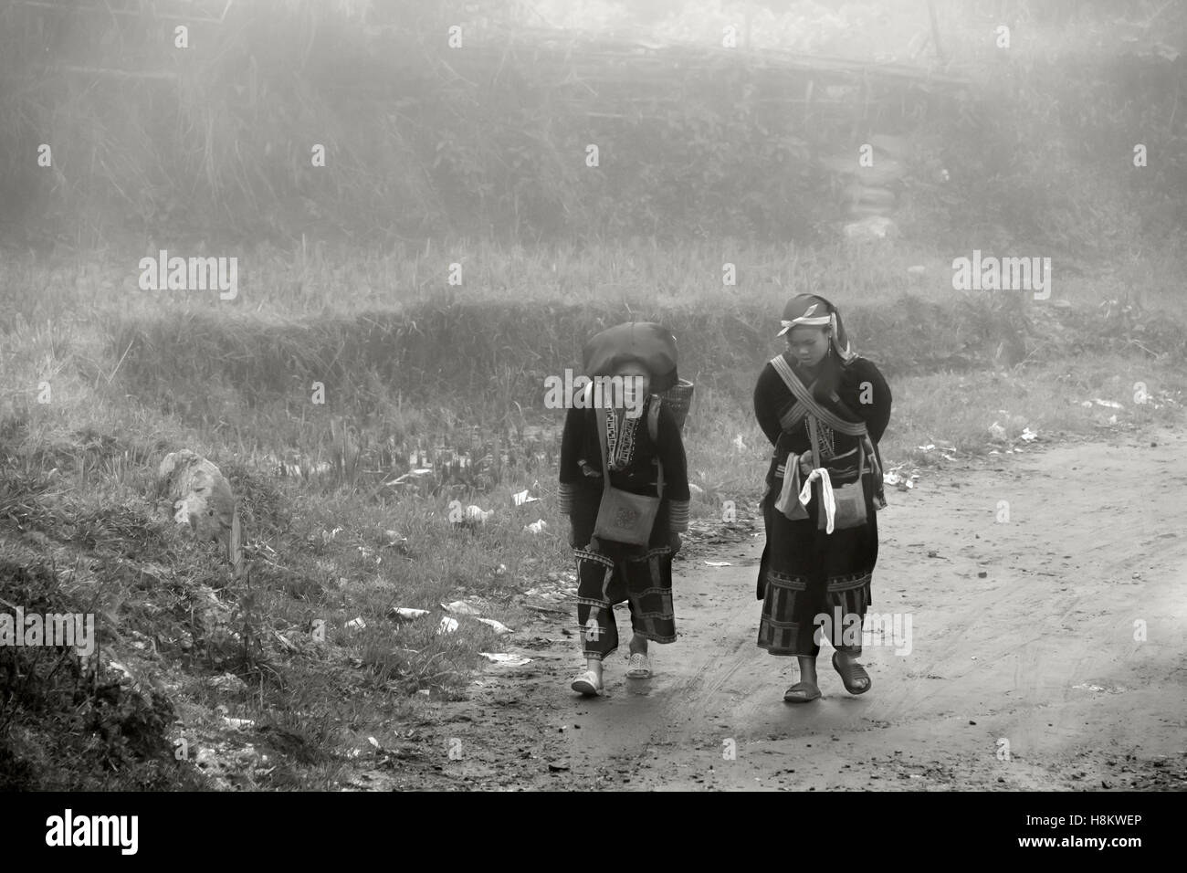 DAO Frauen in den Regen und Nebel, Sa Pa, Nord-Vietnam Stockfoto