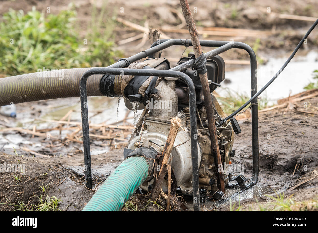 Meki Batu, Äthiopien - Bewässerungs-System für die Felder in der Obst- und Gemüse-Erzeuger-Genossenschaft in Meki Batu. Stockfoto
