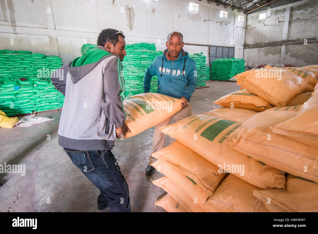 Meki Batu, Äthiopien - männliche Arbeiter, die Säcke mit Dünger in der Obst- und Gemüse-Erzeuger-Genossenschaft in Meki Batu stapeln. Stockfoto