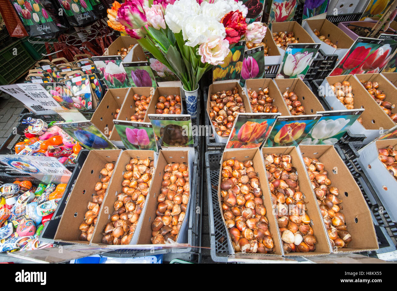Amsterdam, Niederlande große Auswahl an verschiedenen farbigen Blumensamen und Blumenzwiebeln für den Verkauf in einem Outdoor-Markt. Stockfoto