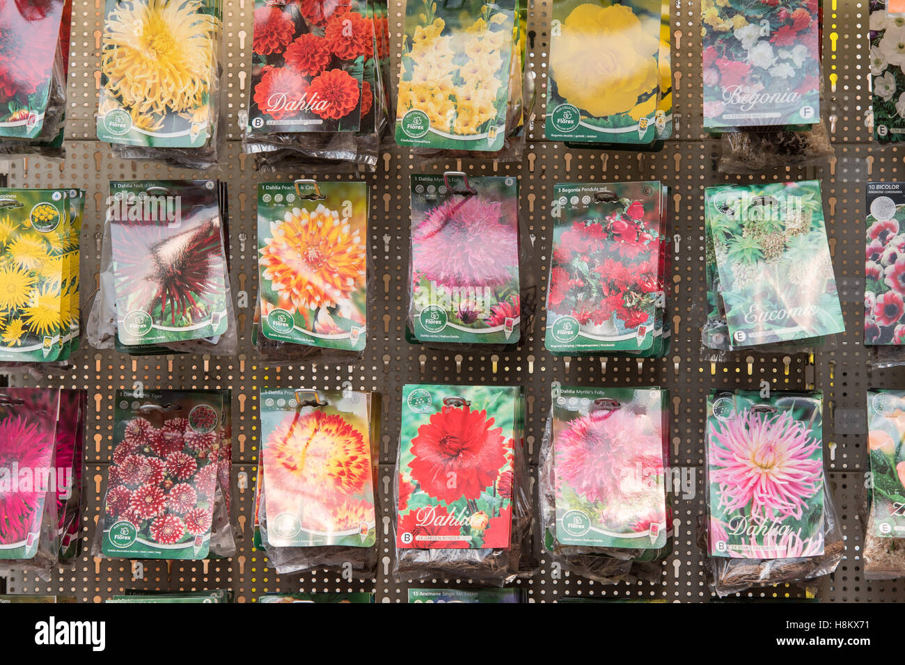 Amsterdam, Niederlande-große Auswahl an verschiedenen farbigen Blumensamen für Verkauf in einem Outdoor-Markt. Stockfoto