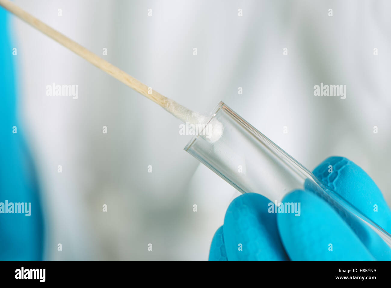 Wattestäbchen und DNA Test Tube, Makro-Bild von medizinischen Geräten in Händen des medizinischen Fachpersonals Stockfoto