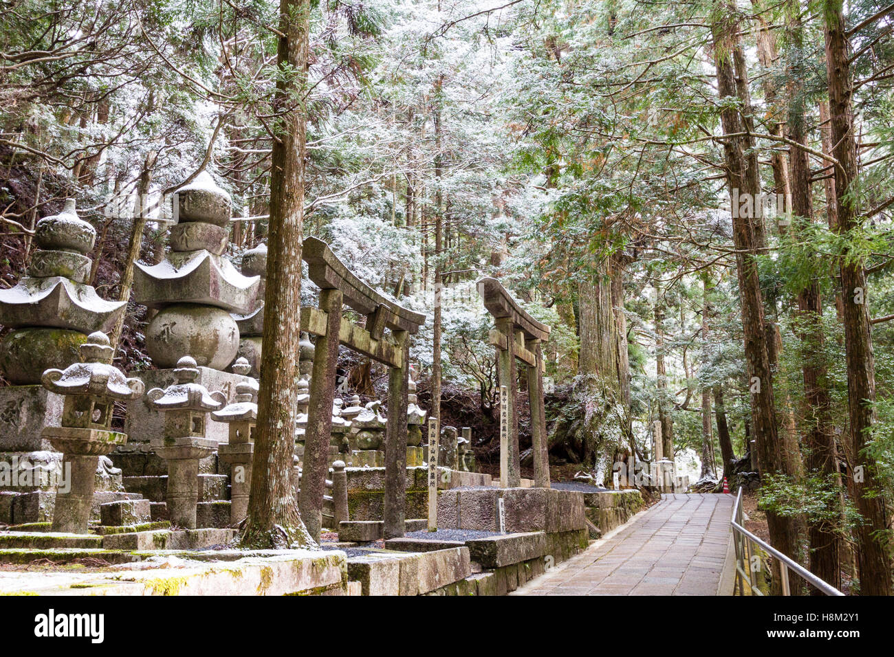 Koya, Japan, Okunoin Friedhof, gepflasterter Weg durch hohen Zedern führende, mit zwei Stein torii Tore und Gräber auf beiden Seiten. Winter, Schnee. Stockfoto