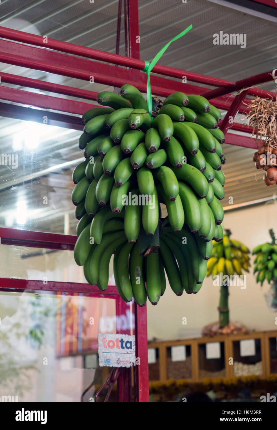 Reihe von grünen Bananen an die Arbeiter Markt Mercado Dos Lavradores, Funchal, Madeira, Portugal Stockfoto