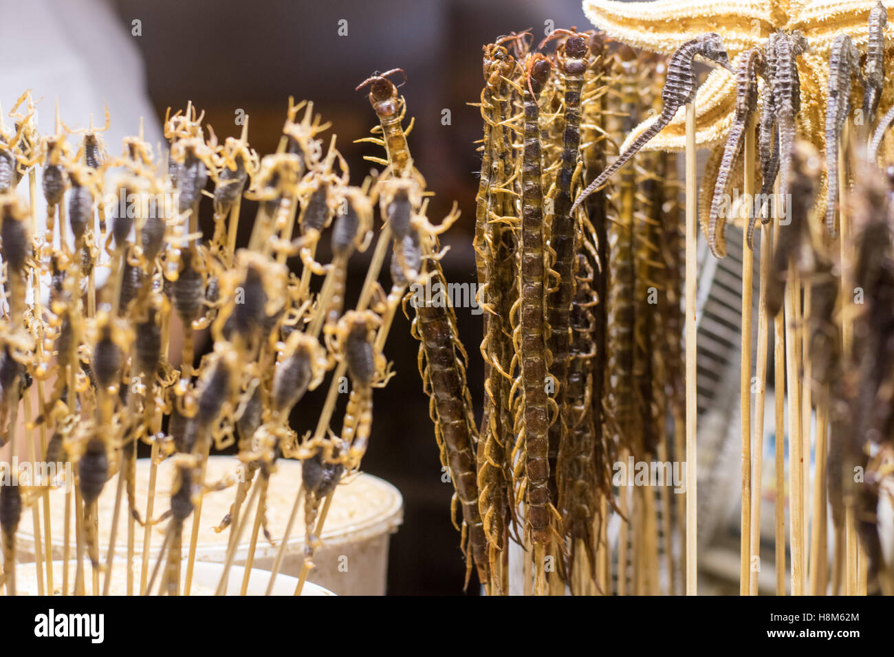 Peking, China - gekocht, Skorpione, Tausendfüßler, Seepferdchen und Seesterne zum Verkauf auf dem Snack Donghuamen Nachtmarkt, eine große Organisationseinheit Stockfoto