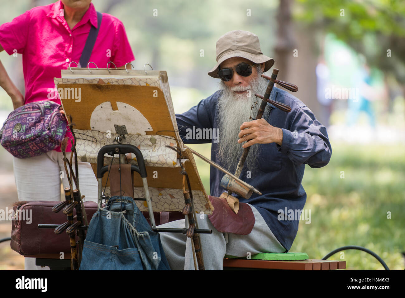 Peking - ein älterer chinesischer Mann sitzt auf einer Parkbank spielen die Jinghu (Violine entspricht in der chinesischen Kultur) in der Nähe von t Stockfoto