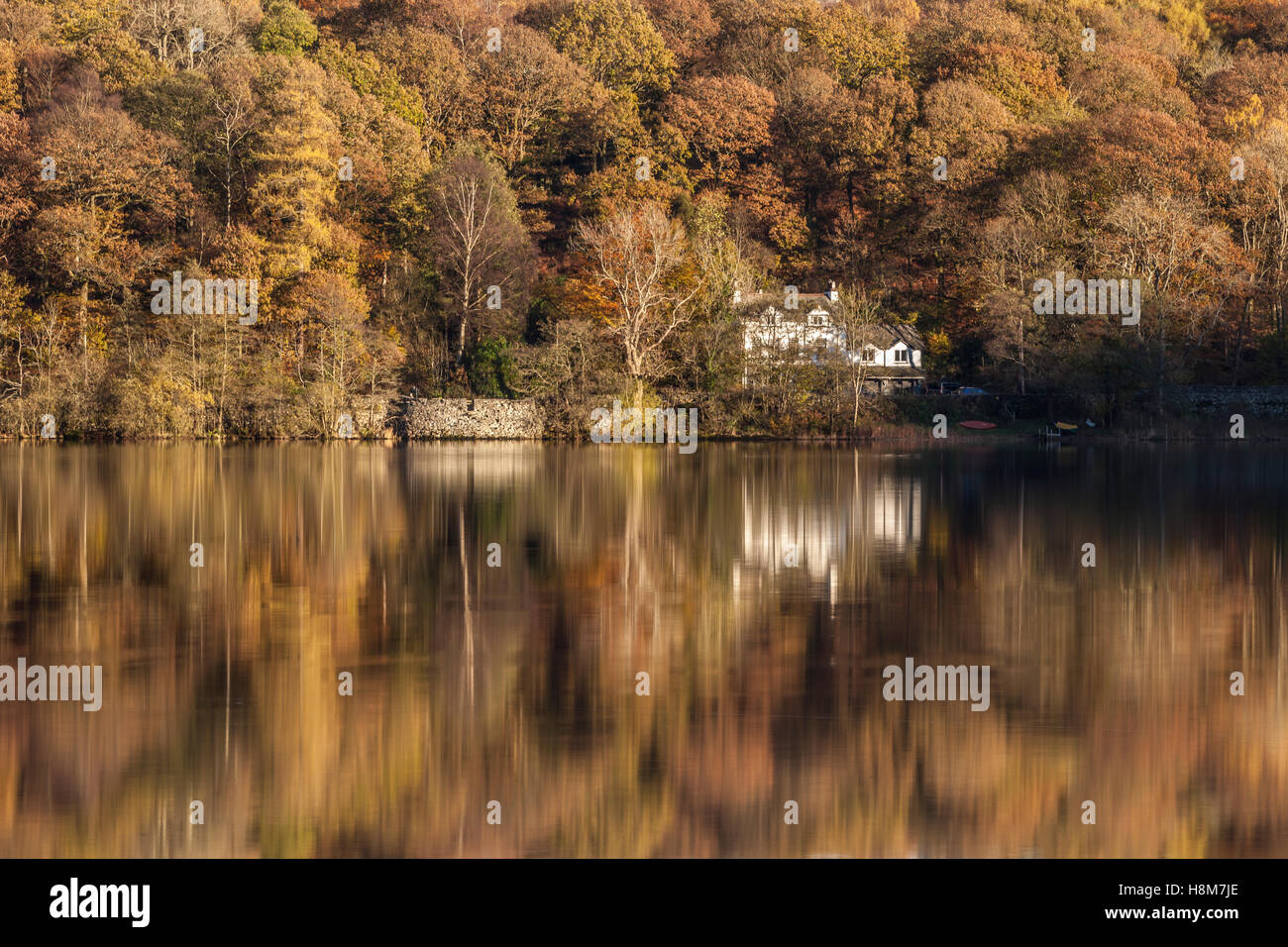 Herbstfärbung in Grasmere See in den Lake District National Park. Stockfoto