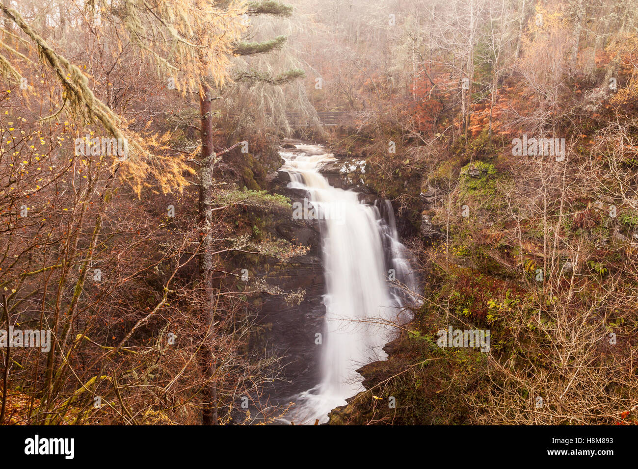 Die letzte der Herbstfärbung in Birks Aberfeldy. Stockfoto