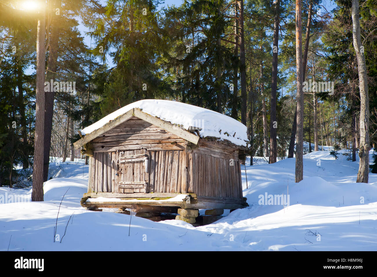 Holzscheit-Hütte im Wald im sonnigen Wintertag Stockfoto