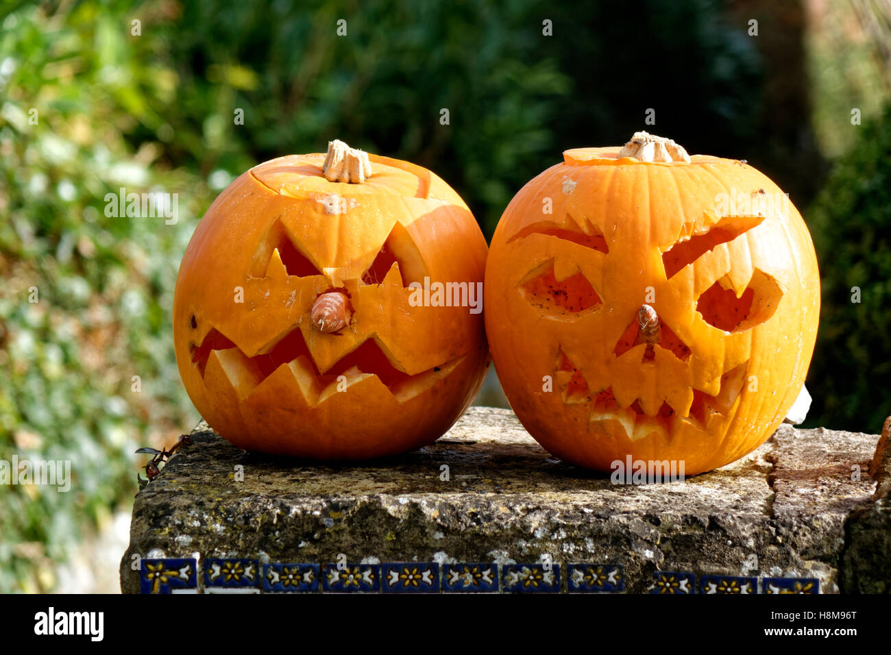Halloween Kürbisse auf einem Garten Wand im Dorf Horningsham, Wiltshire, Großbritannien. Stockfoto
