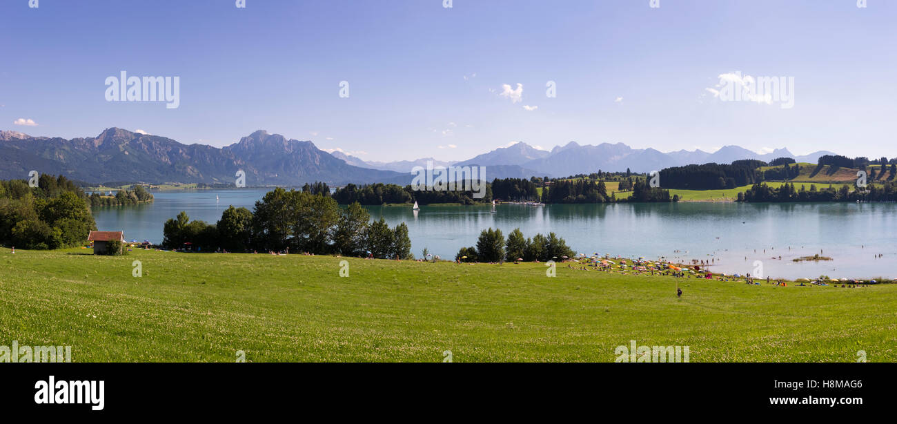 Forggensee, See und Allgäuer Alpen, Halblech, Ostallgäu, Allgäu, Schwaben, Bayern, Deutschland Stockfoto