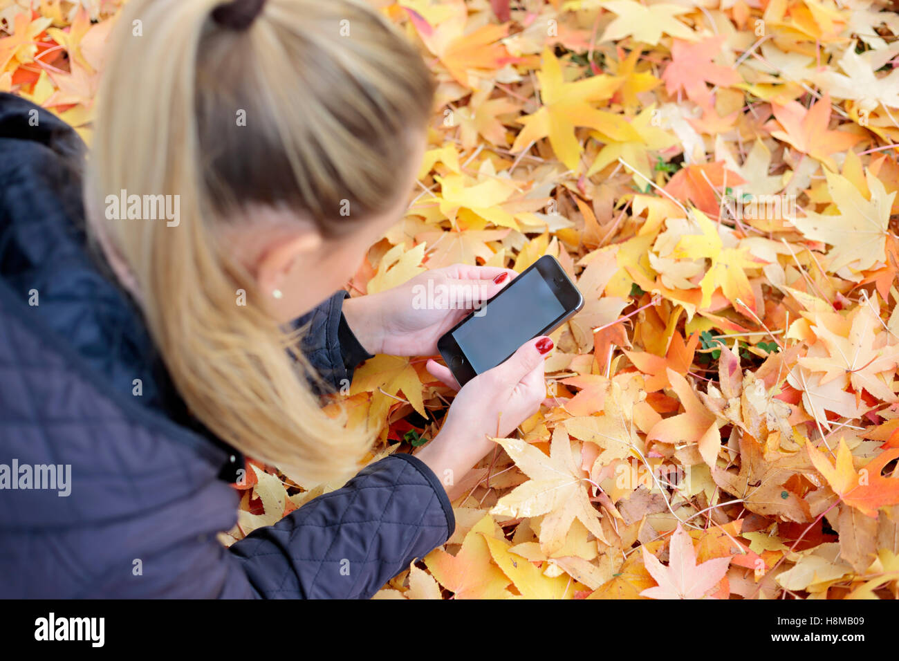 Junge Frau, die Verlegung auf bunte Blätter mit Handy Stockfoto