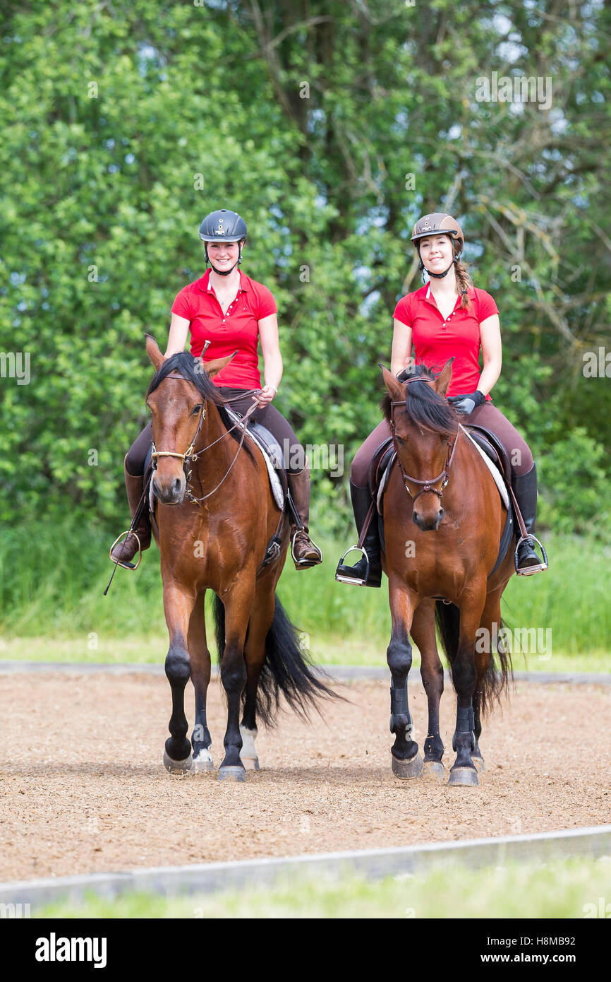 Rein spanische Pferd, andalusischen. Zwei Frauen, die Ausbildung eines jungen Pferdes. In der Nähe eines Begleiters gibt dem jungen Pferd Sicherheit. Stockfoto