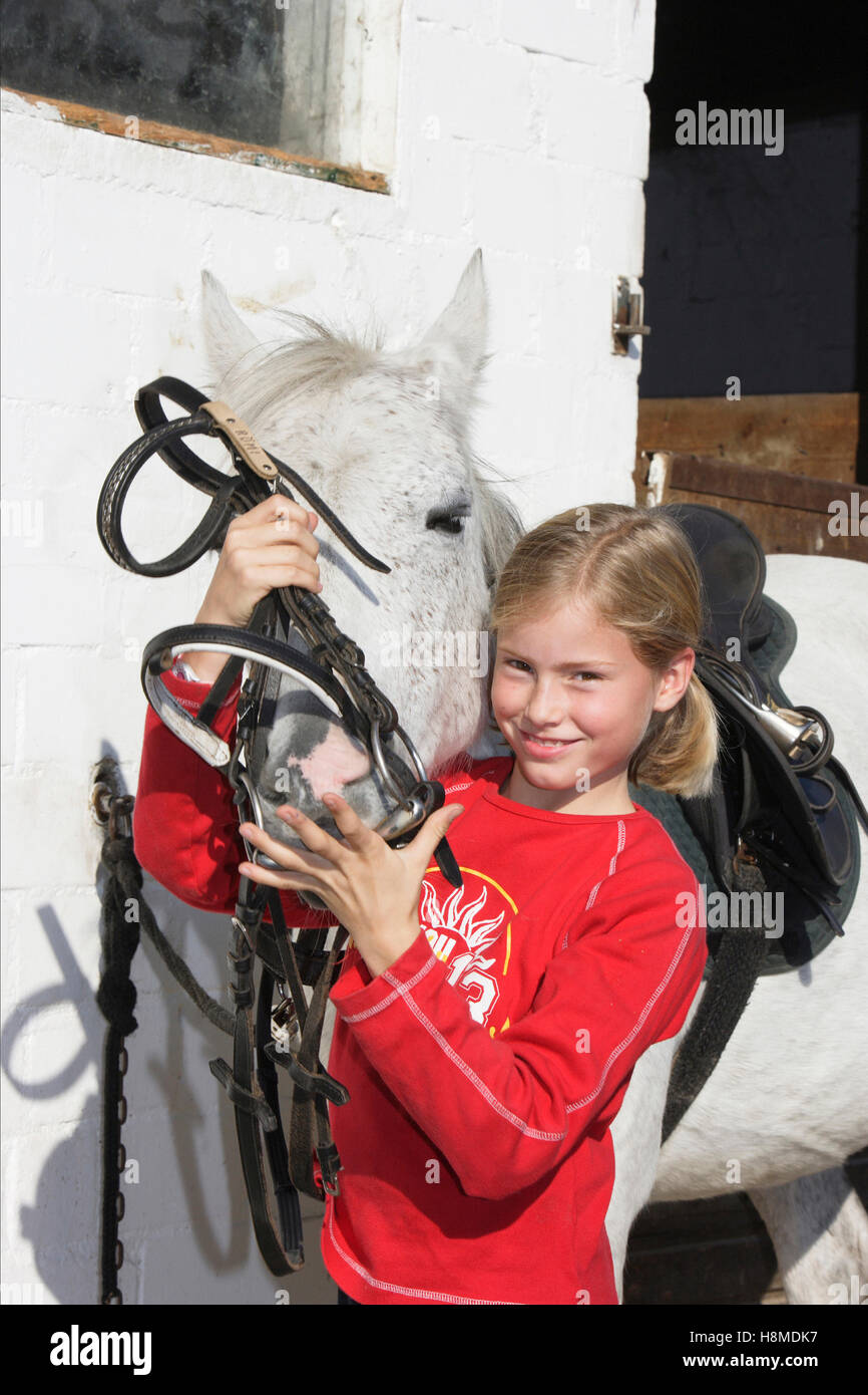 Deutsche Pony reiten. Mädchen die Zügel anziehen. Deutschland Stockfoto