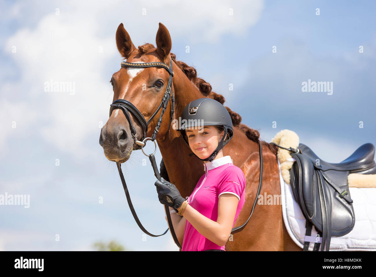 Württemberg Warmblut. Mädchen hält ein rotes Pferd mit Sattel und Zaumzeug. Deutschland Stockfoto