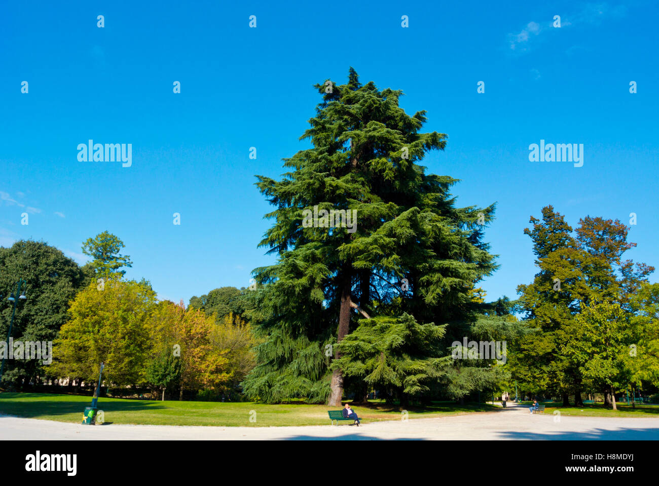 Parco Sempione, Mailand, Lombardei, Italien Stockfoto