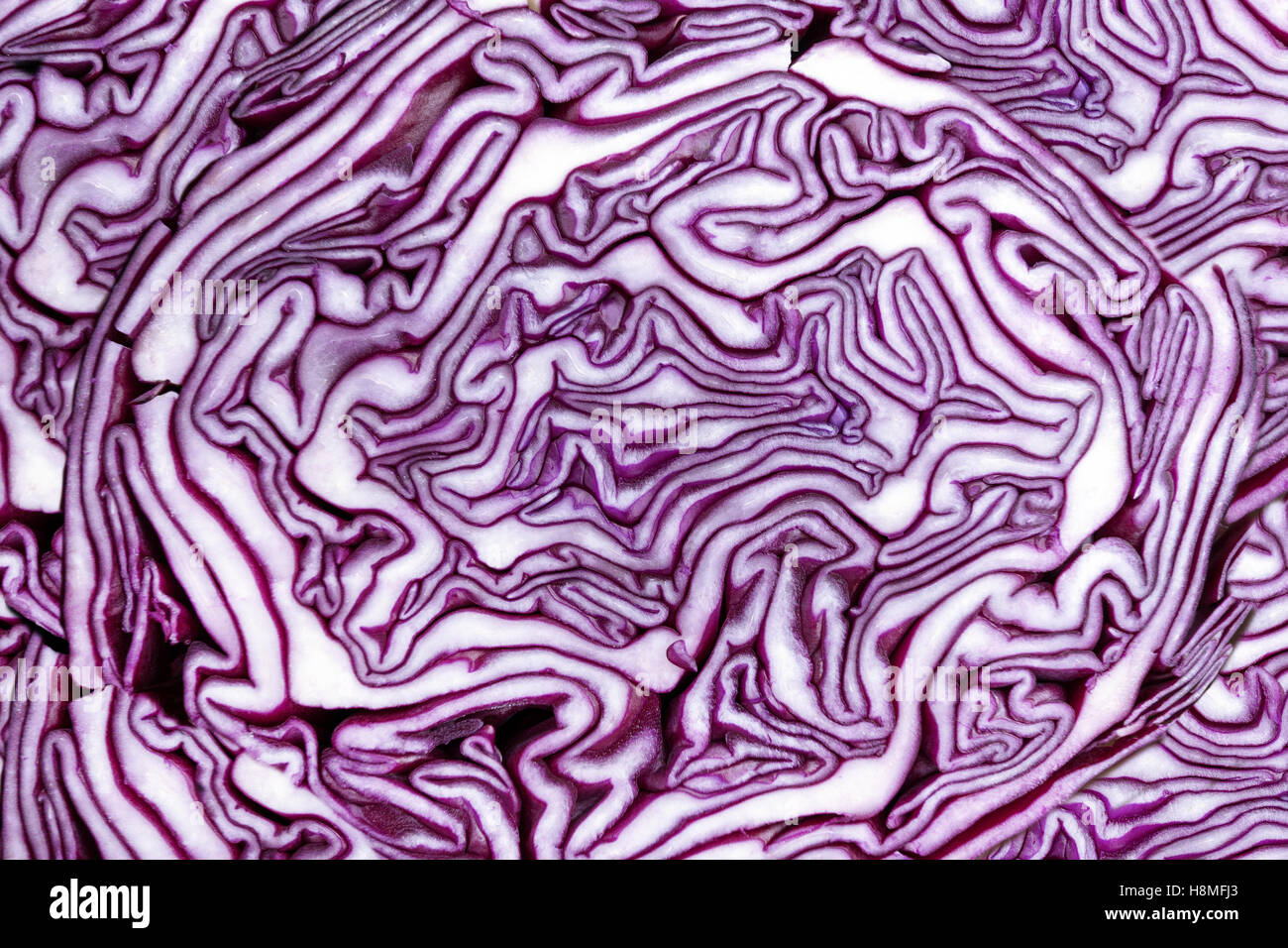 Abstrakte Muster in einer geschnittenen Rotkohl in Nahaufnahme Stockfoto