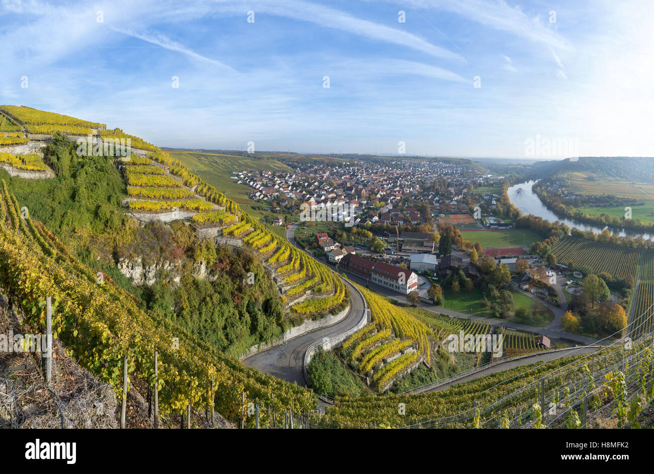 Weinberge in der Nähe von Mundelsheim, Deutschland Stockfoto