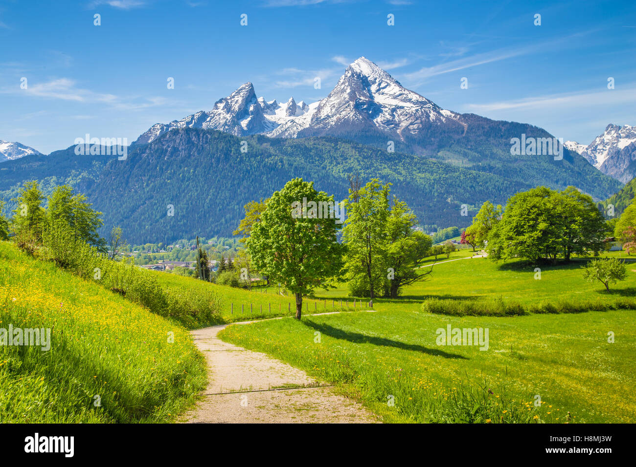 Idyllische Landschaft mit Wander-Trail in den Alpen mit frischen grünen Almen und schneebedeckten Berggipfeln im Hintergrund an einem schönen Tag Stockfoto