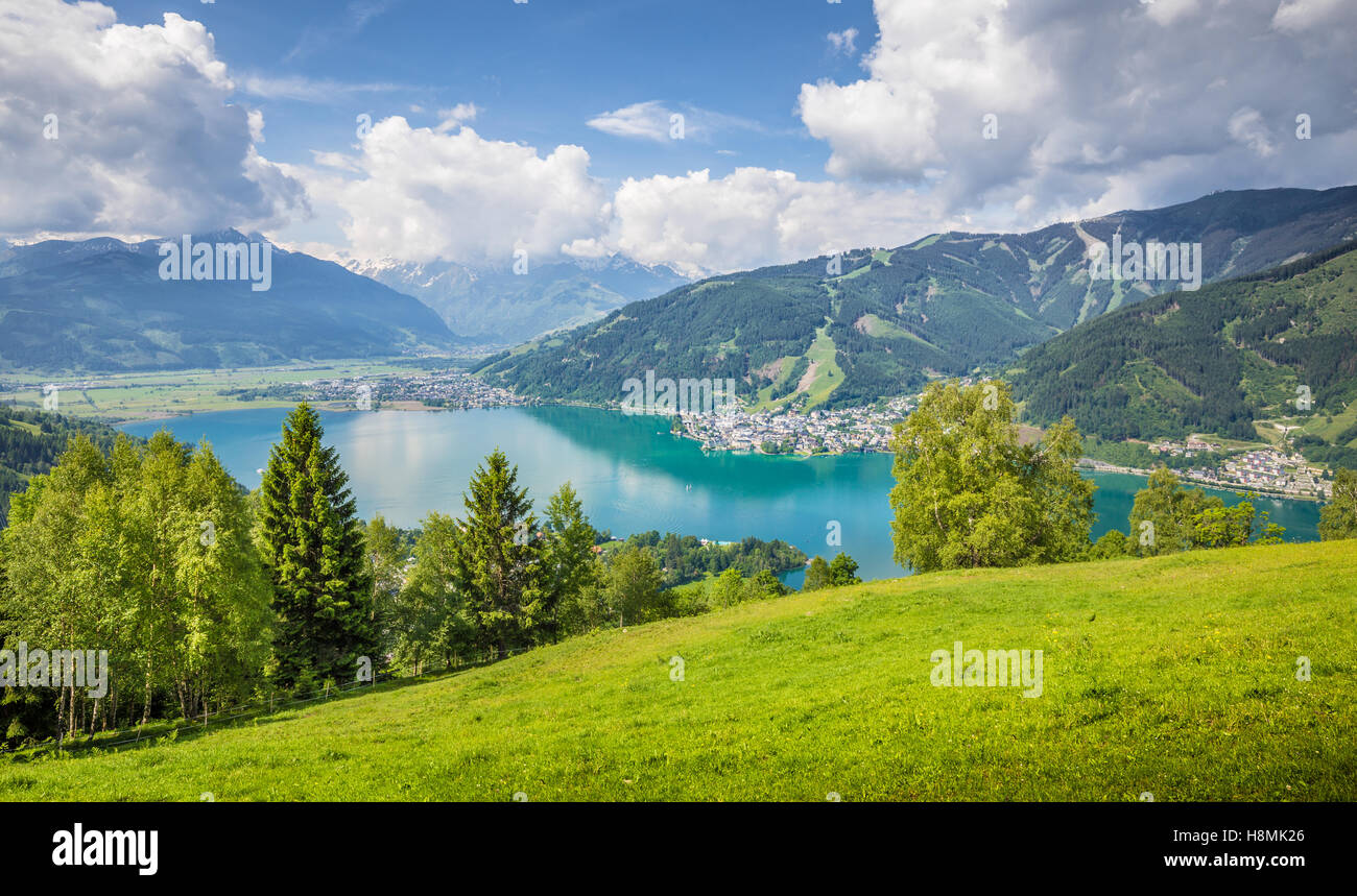 Schöne Bergwelt der Alpen mit klaren See und Wiesen voller blühender Blumen im Sommer, Zell am See, Österreich Stockfoto