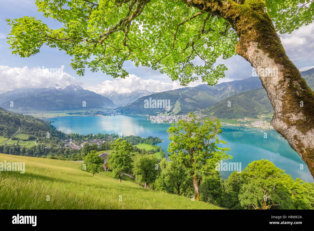 Schöne Bergwelt der Alpen mit klaren See und Wiesen voller blühender Blumen im Sommer, Zell am See, Österreich Stockfoto