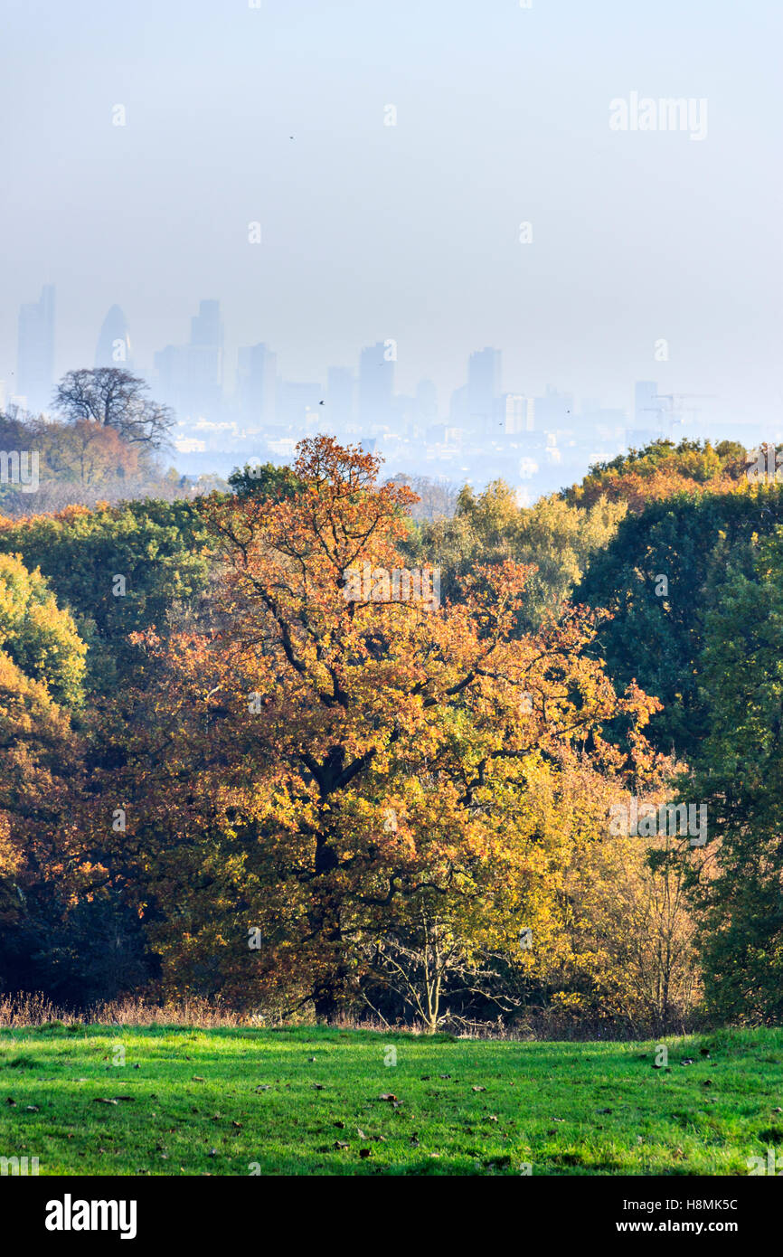 Farben des Herbstes und Nebel über der Stadt London, von Highgate, London, UK Stockfoto