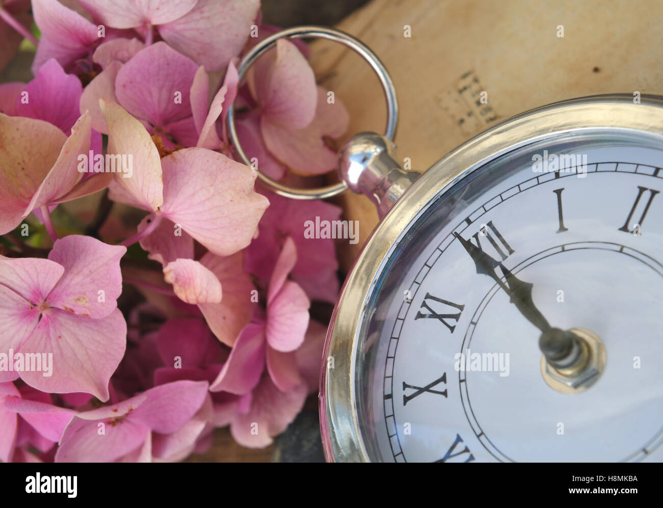 Retro-Uhr zwölf bald mit und Hortensie Blume und alte Buch Hintergrund Stockfoto