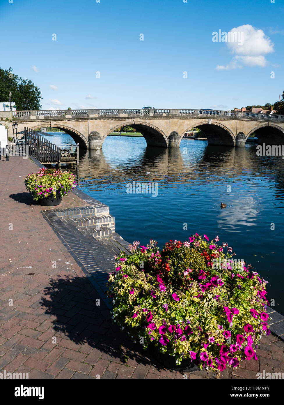 Henley Bridge, Henley-on Thames, Oxfordshire, England, GB. Stockfoto