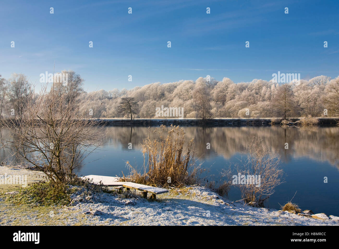 Deutschland, Ruhrgebiet, der Ruhr zwischen Wetter und Witten, Winter, Raureif. Stockfoto