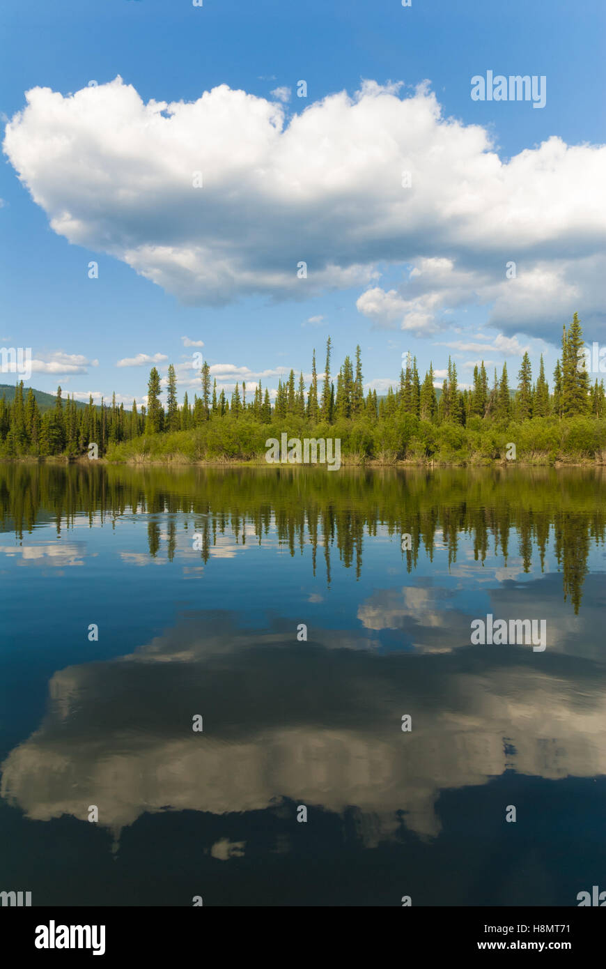 Yukon River Landschaft Stockfoto