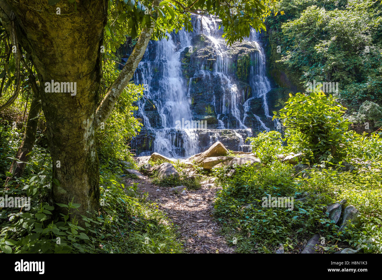 Wunderschönen versteckten Wasserfall im Regenwald von Angola. Ein schmaler Pfad führt zu ihm. Stockfoto