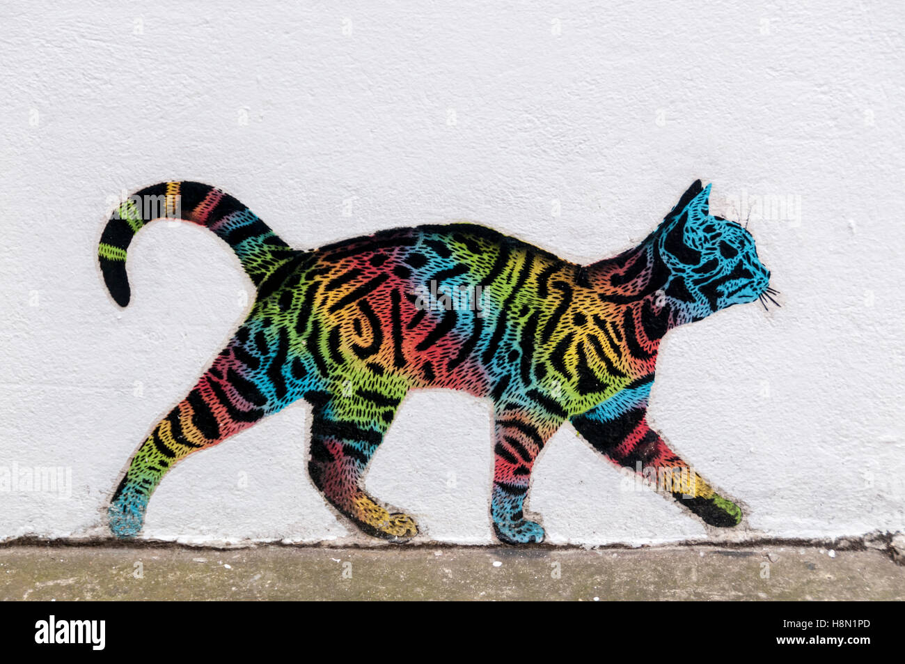 Bunte Katze Graffiti von JPS in Chichester. Stockfoto