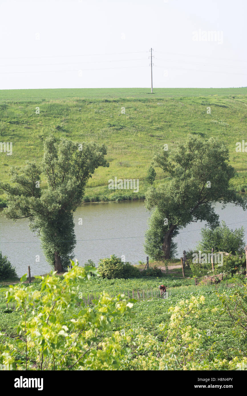 Natur, Dorf, Angeln, See, Auto, Sumy Region, Ukraine, Osteuropa Stockfoto