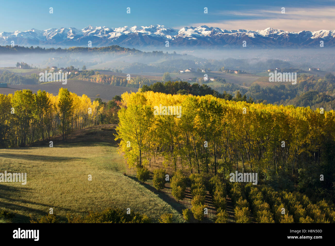Herbst-Blick über die Po-Ebene bis zu den ligurischen Alpen in der Nähe von Monforte d ' Alba, Piemont, Italien Stockfoto