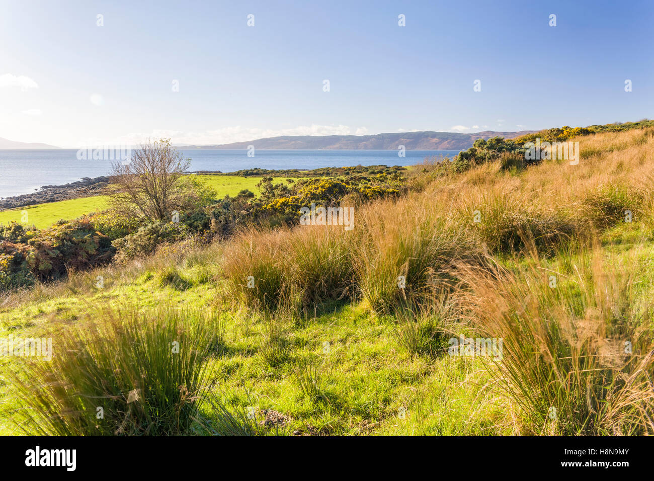 Schottische Landschaft scenic mit pulsierenden Rasenfläche mit Blick auf das Meer und die Hügel im Hintergrund Model Release: Nein Property Release: Nein. Stockfoto