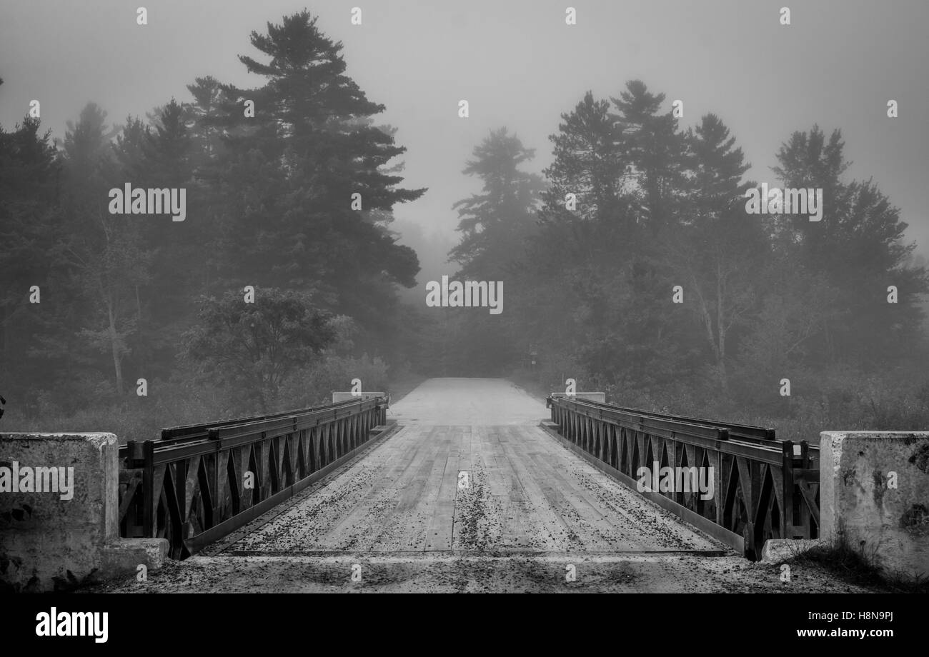 Darkemed Forstweg über Brücke über Corry See. Stockfoto