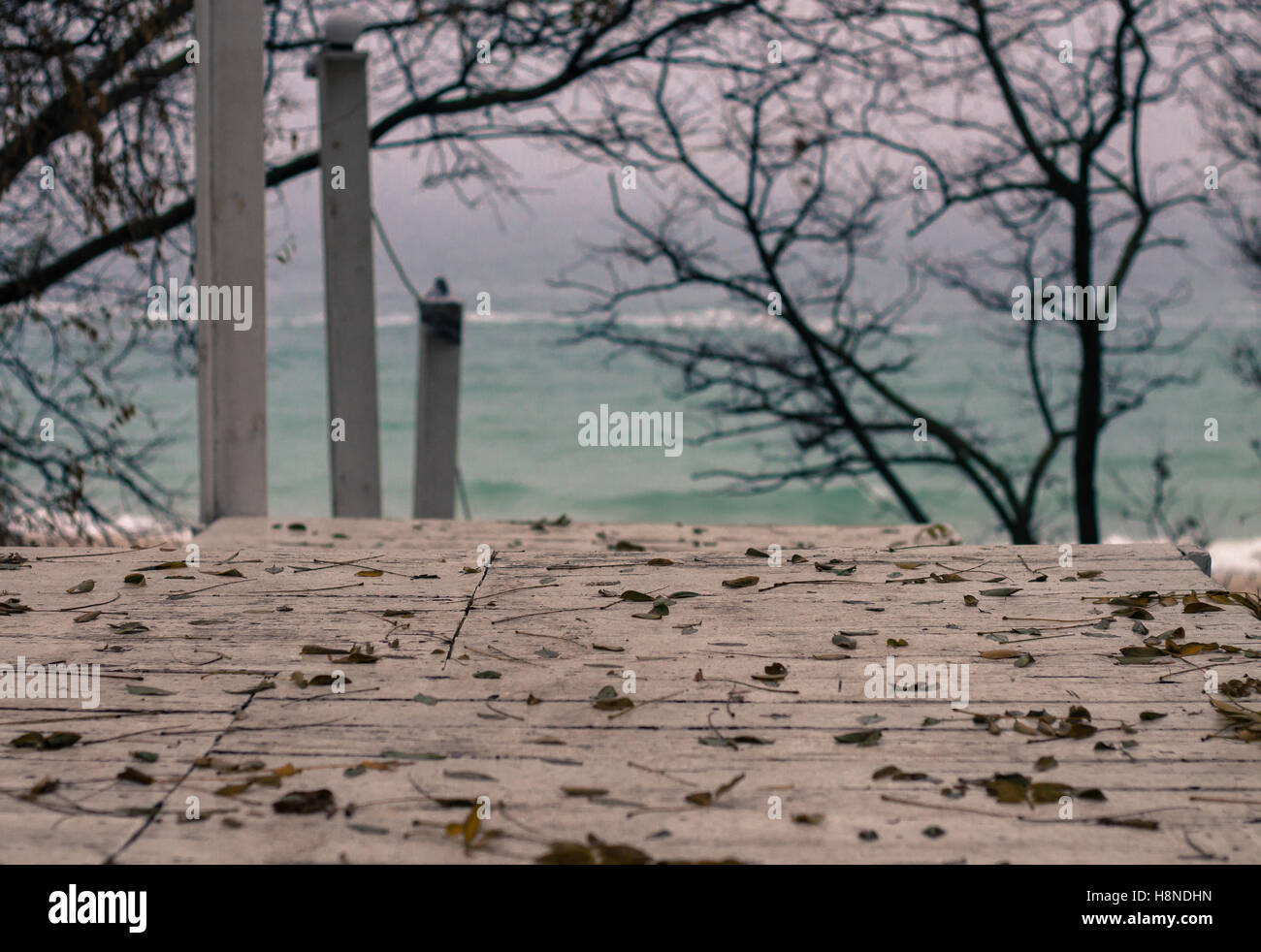 Weiße Holztreppen Strand. Abstieg. Blaue Mineralwasser. Küste des Schwarzen Meeres, Odessa, Ukraine. Gefallene Herbstlaub Stockfoto