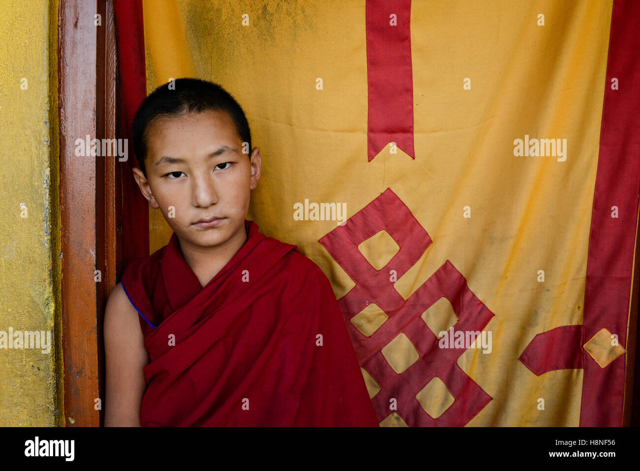 NEPAL Pokhara, tibetische Flüchtlingslager Tashi Ling, Shri Gaden Dhargyaling Kloster, junge Novizin Lobsang Ngawang ist 11 Jahre alt und gehört zu einer tibetischen Nomaden-Familie in Upper Mustang, Hintergrund-Vorhang mit endlosen Knoten ein Symbol für Glück in der tibetischen Kultur Stockfoto
