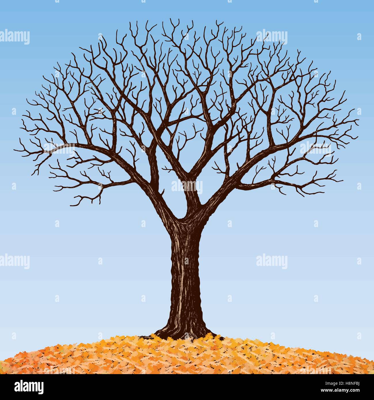 Der Baum Mit Kahlen Aste Zeichnen Stock Vektorgrafik Alamy