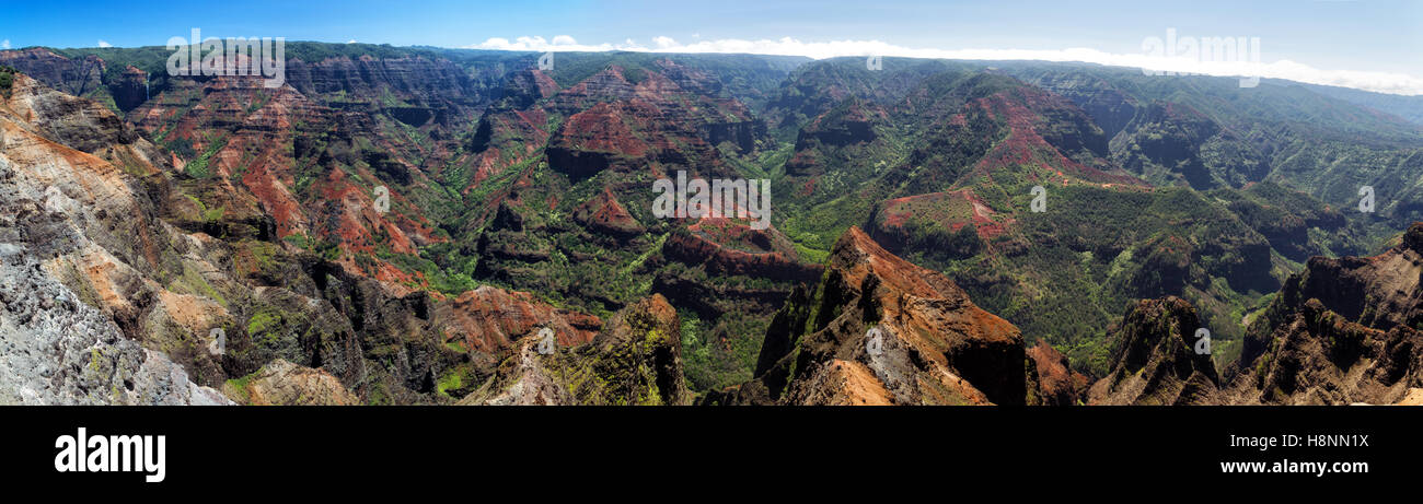 Ausblick über den Waimea Canyon auf Kauai, Hawaii, USA. Stockfoto