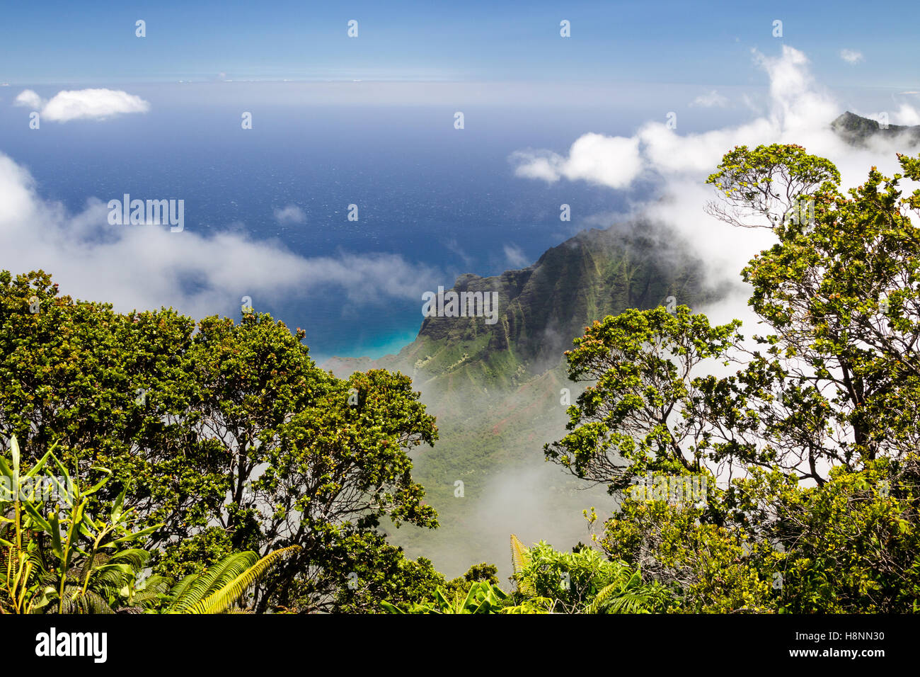 Blick vom Kalalau Lookout im Kokee State Park in Kalalau Valley an der Na Pali Küste auf Kauai, Hawaii, USA. Stockfoto