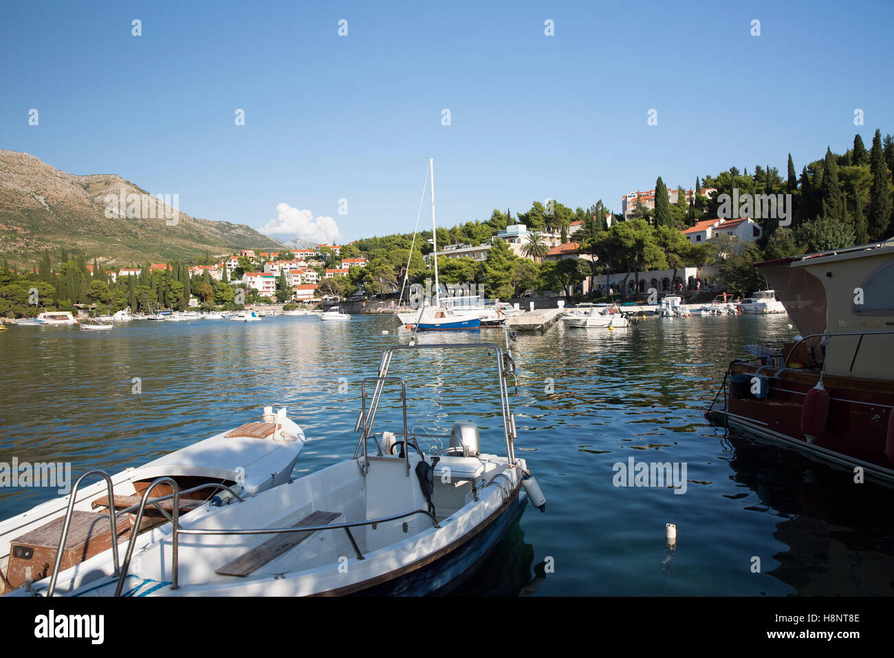 Hafen von Cavtat Stockfoto