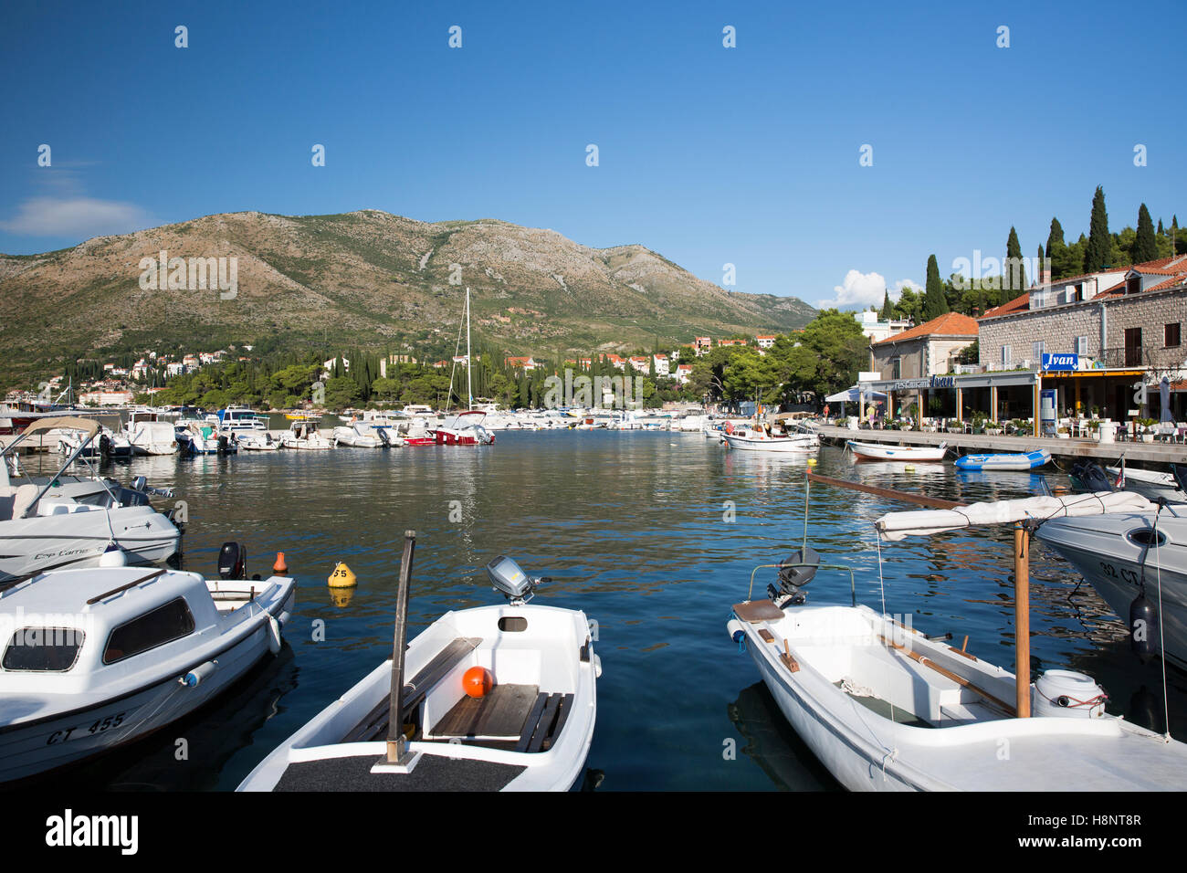 Hafen von Cavtat Stockfoto