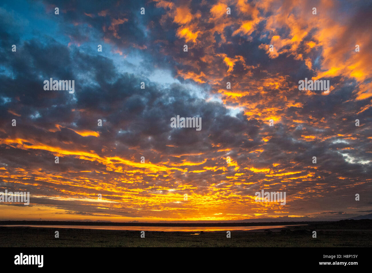 Sonnenuntergang mit bewölktem Himmel, Ndutu, Ngorongoro Conservation Area, Tansania Stockfoto